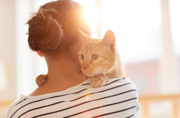 Heartwarming Community Stories: Cats Who Changed Lives